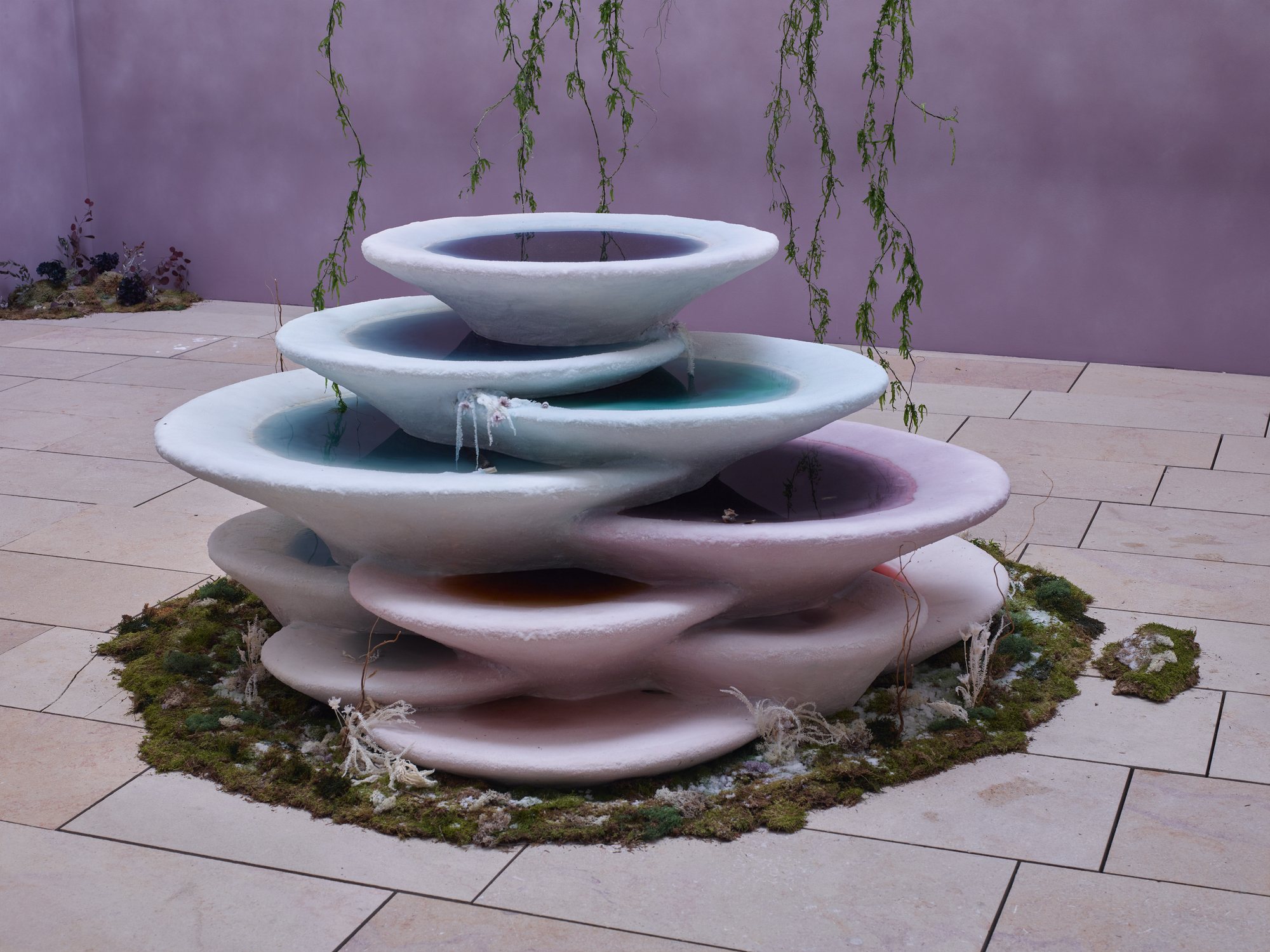 The Daydream — installation view