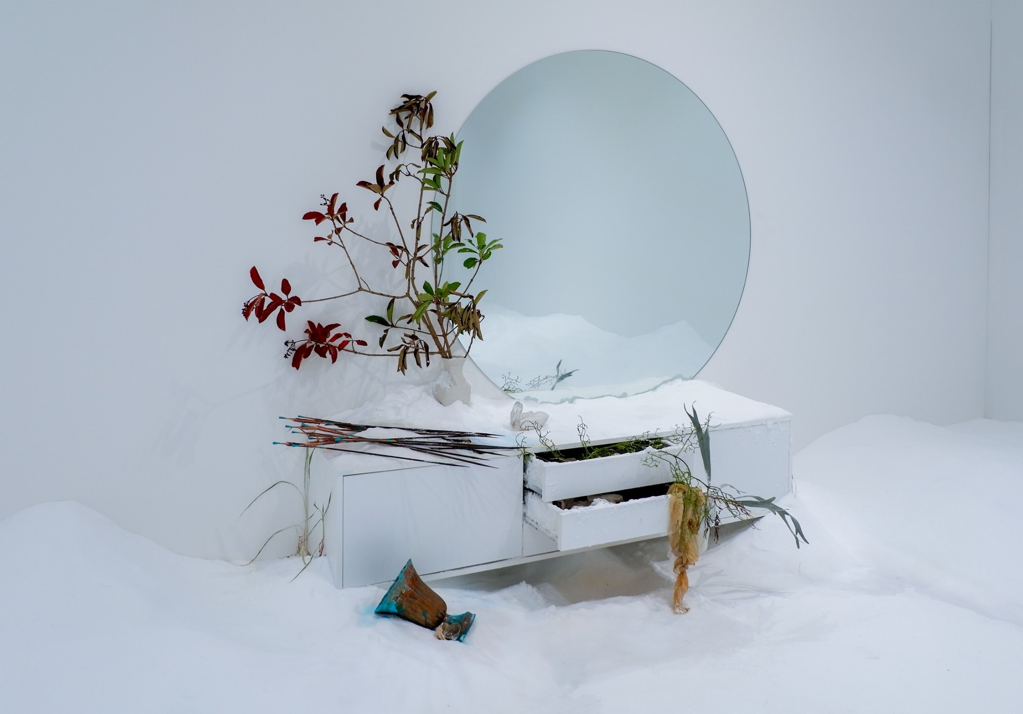 The Antechamber (Tundra Swan) — installation view