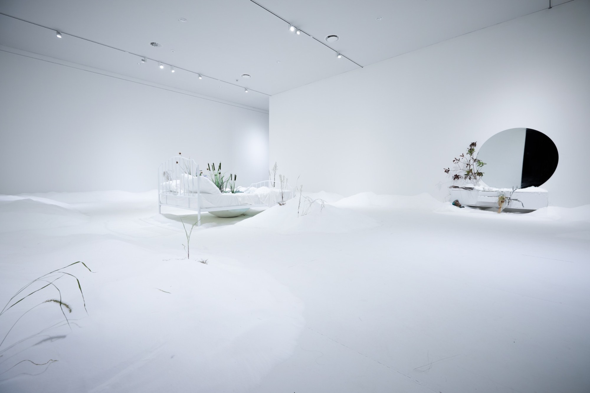 The Antechamber (Tundra Swan) — installation view