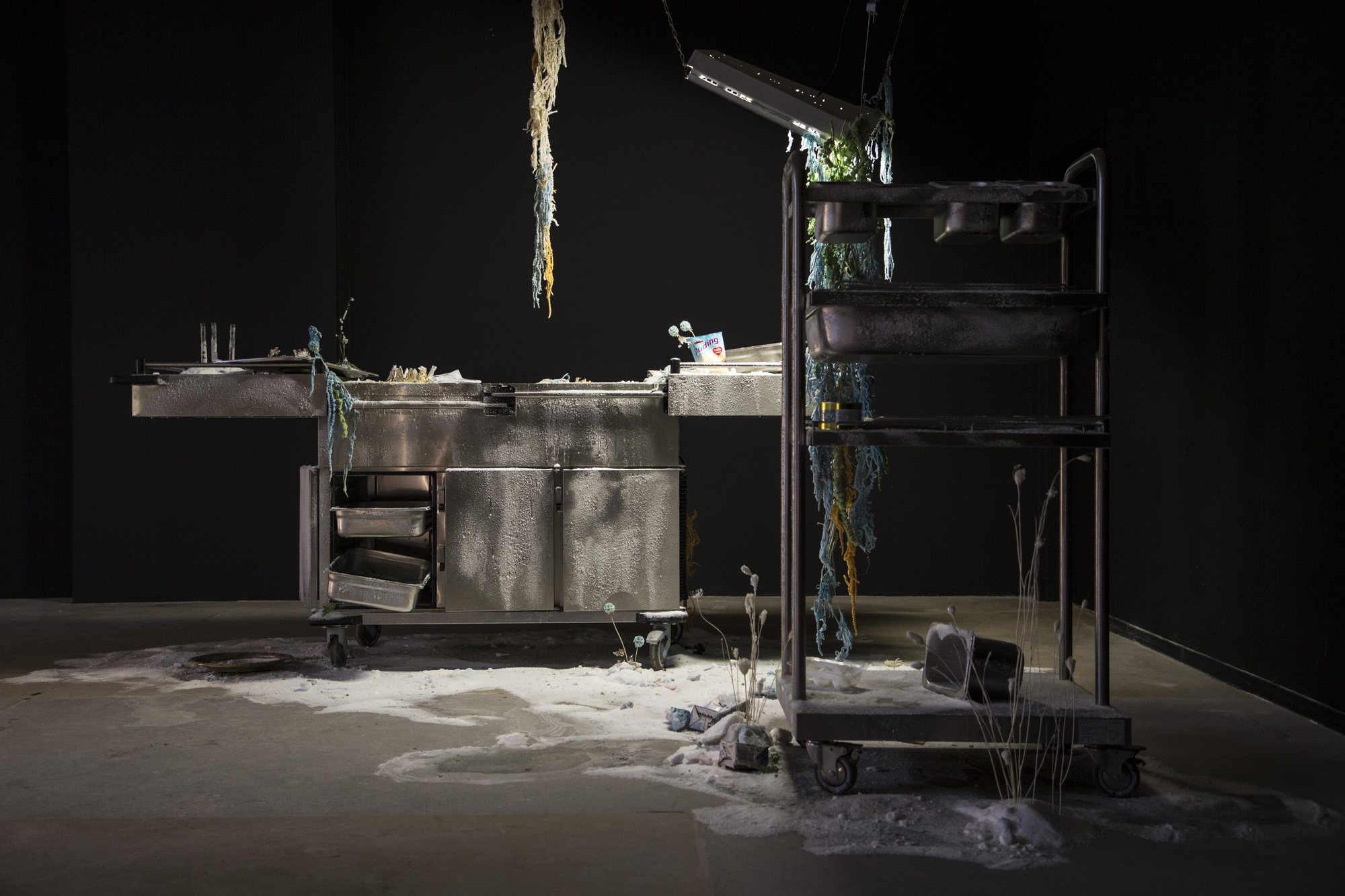 Vanilla Oxide — installation view