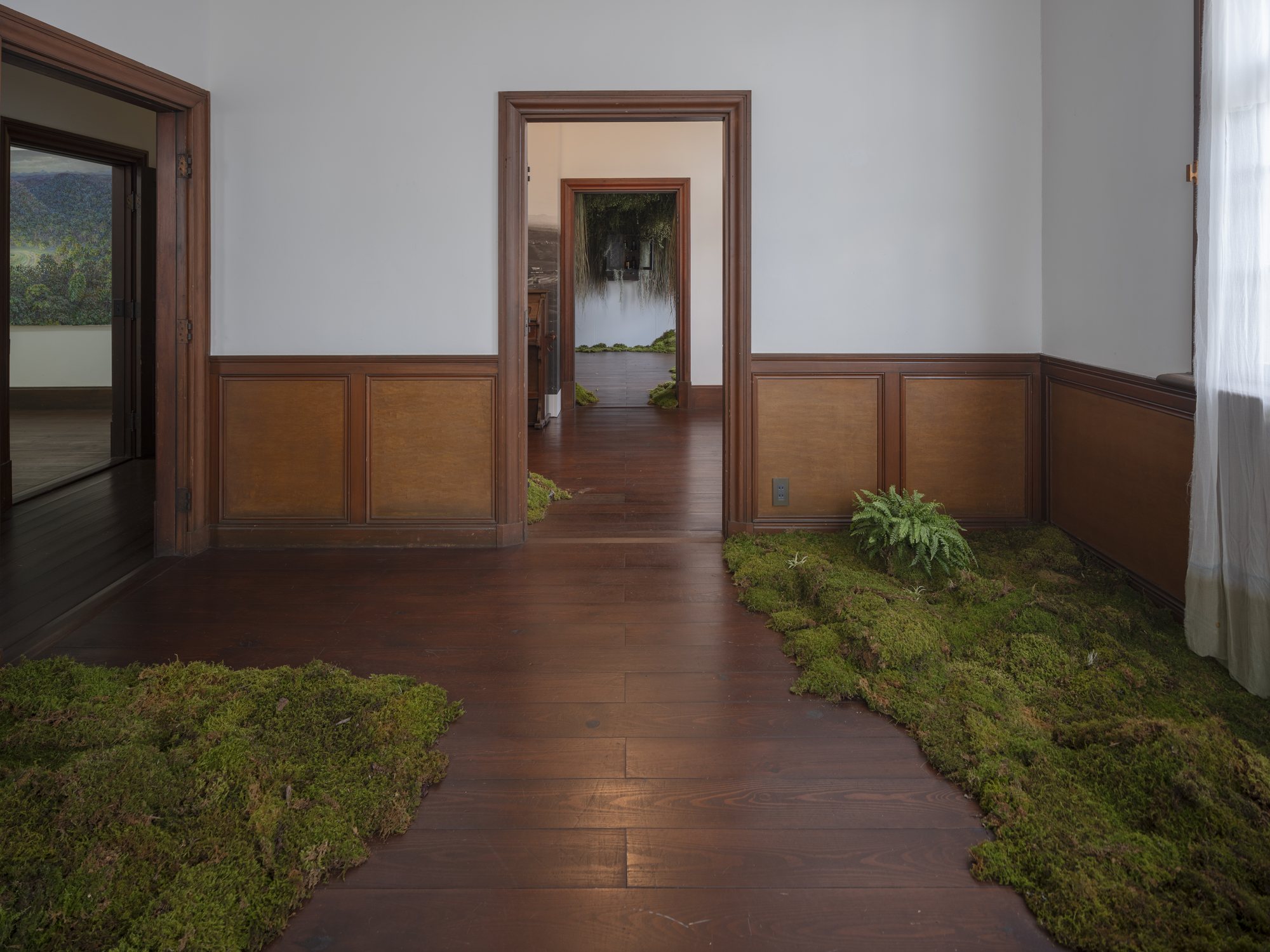 Forest Bathing — installation view
